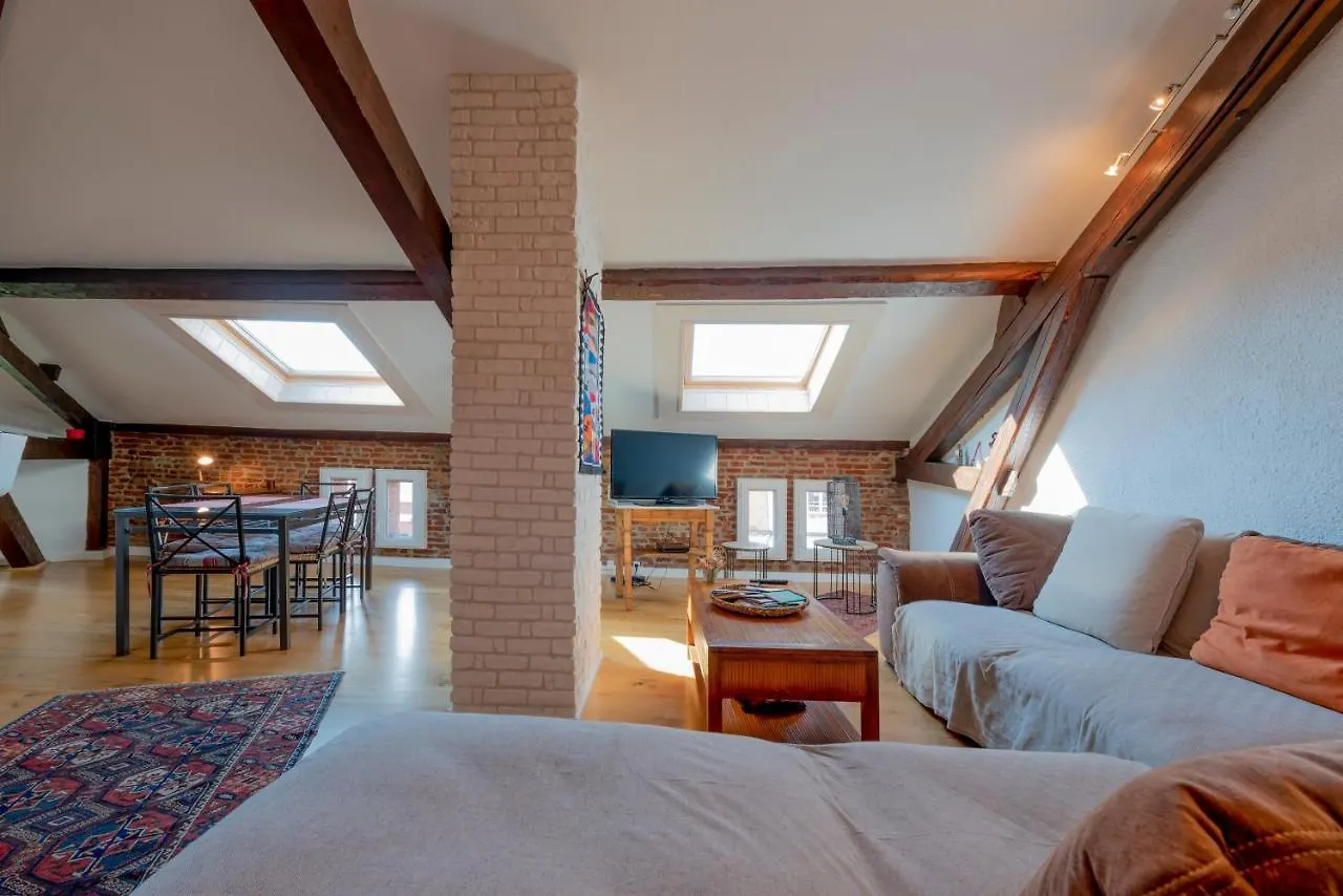 Le Toulousain By Cocoonr Toulouse Apartment